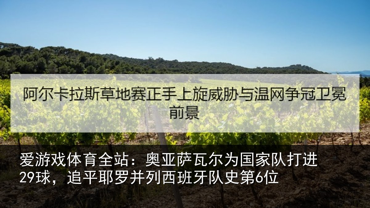 爱游戏体育全站：奥亚萨瓦尔为国家队打进29球，追平耶罗并列西班牙队史第6位