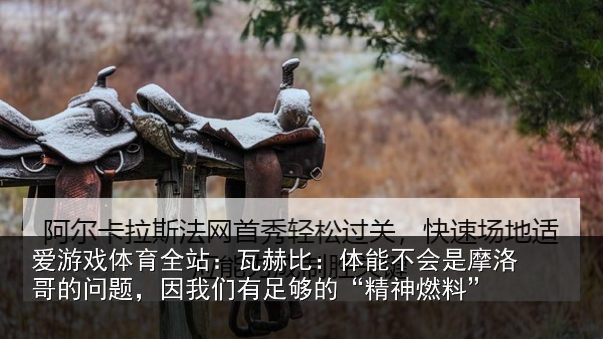 爱游戏体育全站:瓦赫比:体能不会是摩洛哥的问题,因我们有足够的“精神燃料”