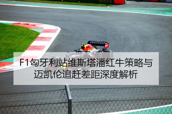F1匈牙利站维斯塔潘红牛策略与迈凯伦追赶差距深度解析