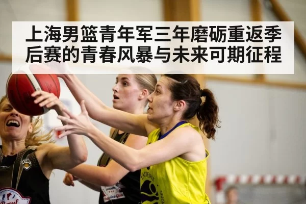 上海男篮青年军三年磨砺重返季后赛的青春风暴与未来可期征程