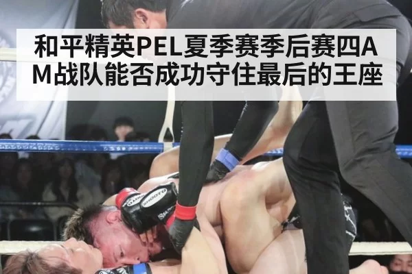 和平精英PEL夏季赛季后赛四AM战队能否成功守住最后的王座